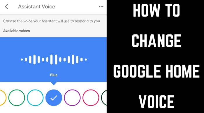 How To Change The Voice On A Google Home Device